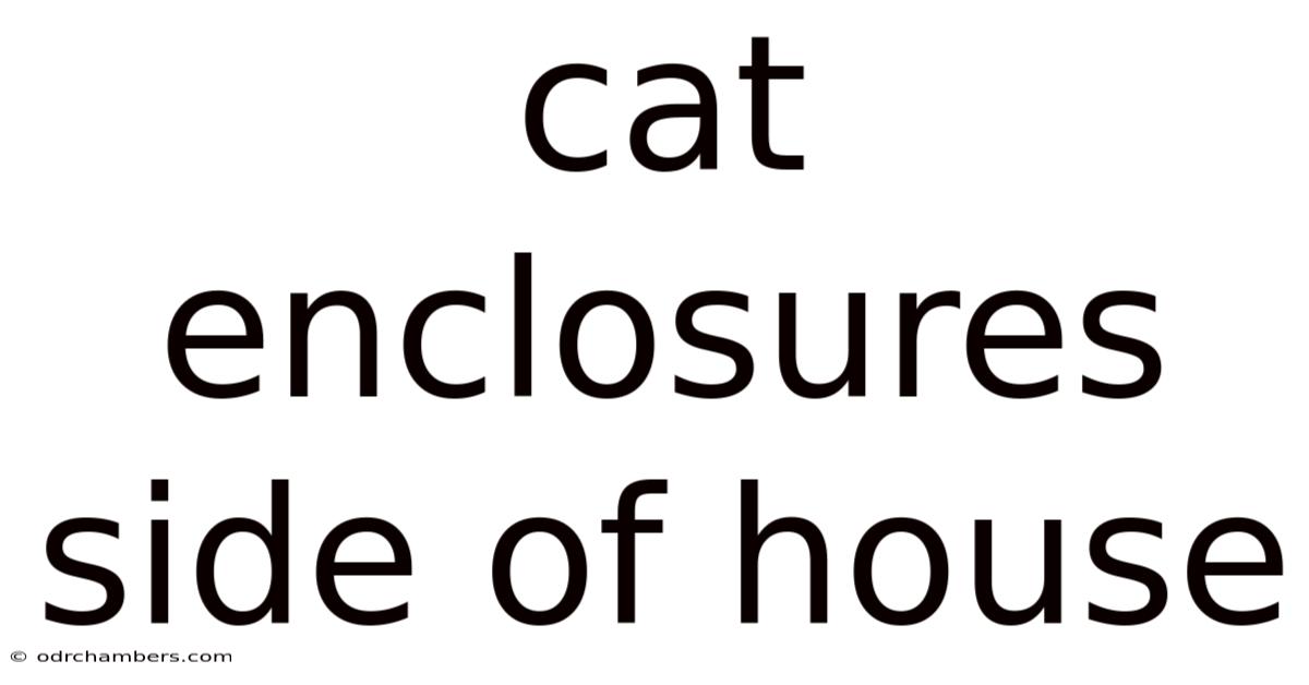 Cat Enclosures Side Of House