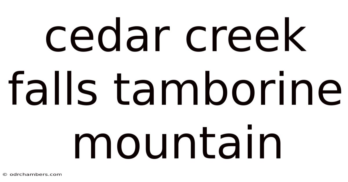 Cedar Creek Falls Tamborine Mountain