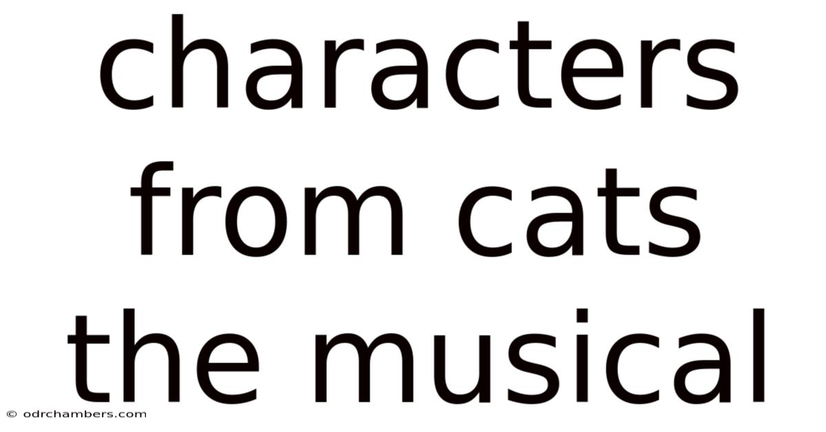Characters From Cats The Musical