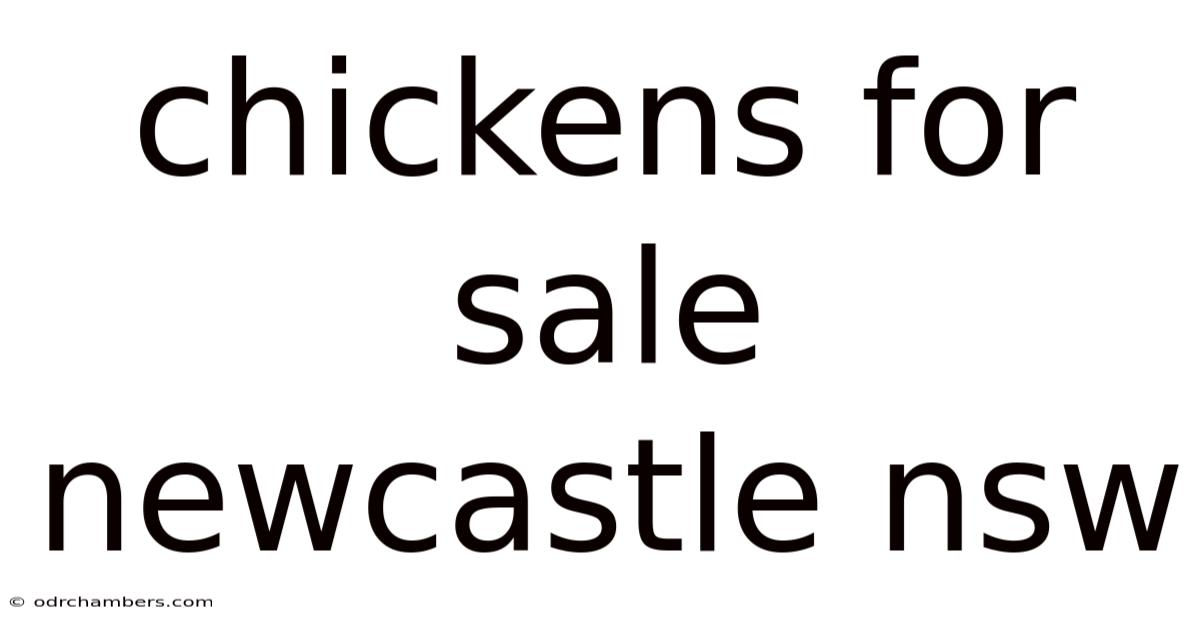 Chickens For Sale Newcastle Nsw