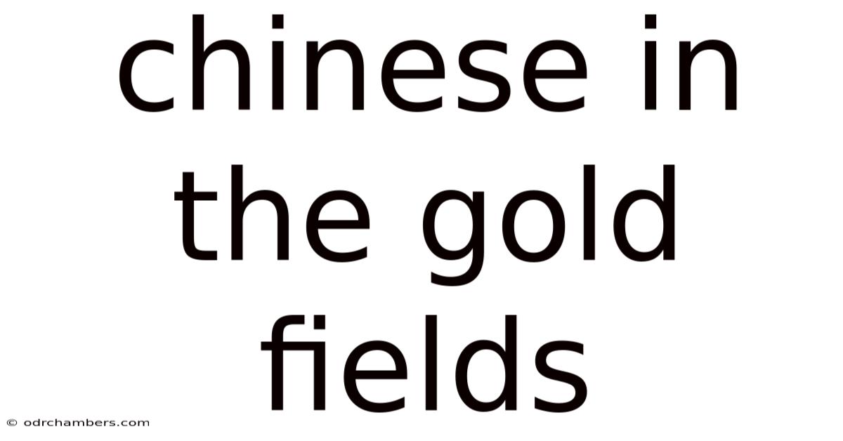 Chinese In The Gold Fields