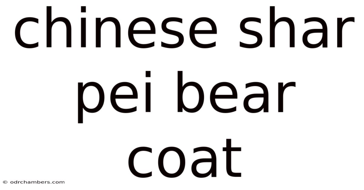 Chinese Shar Pei Bear Coat