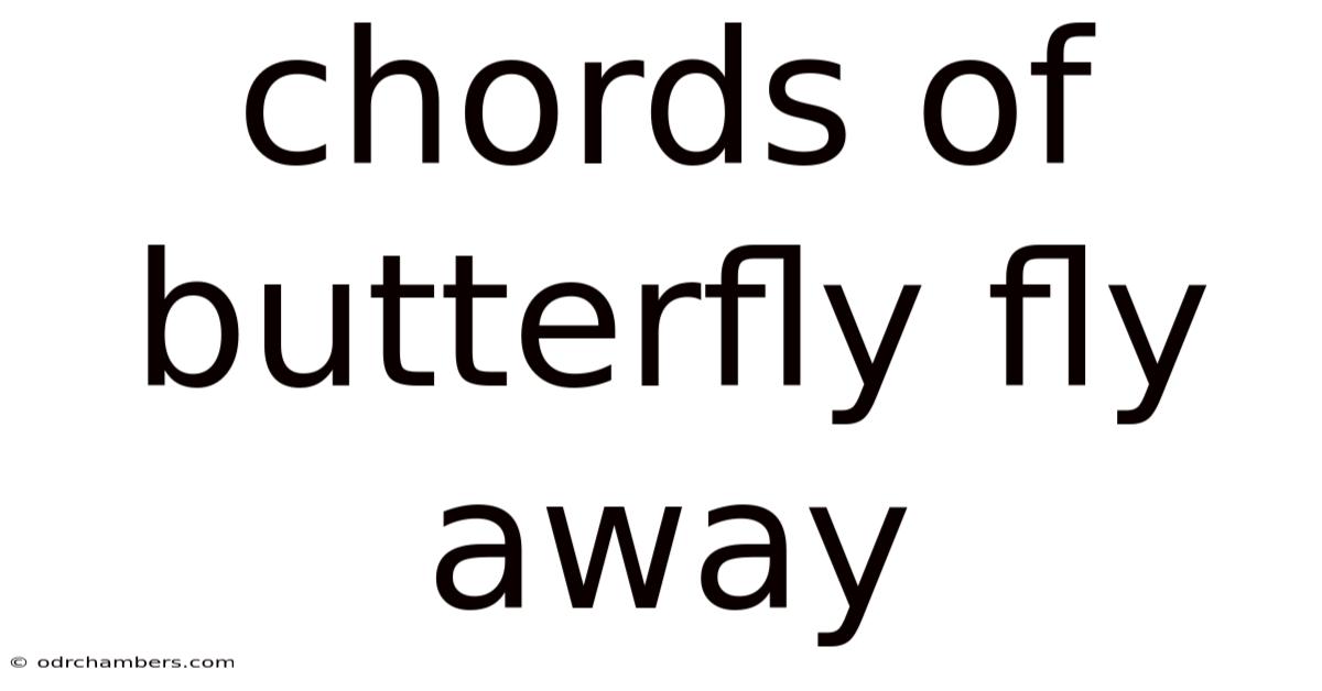 Chords Of Butterfly Fly Away