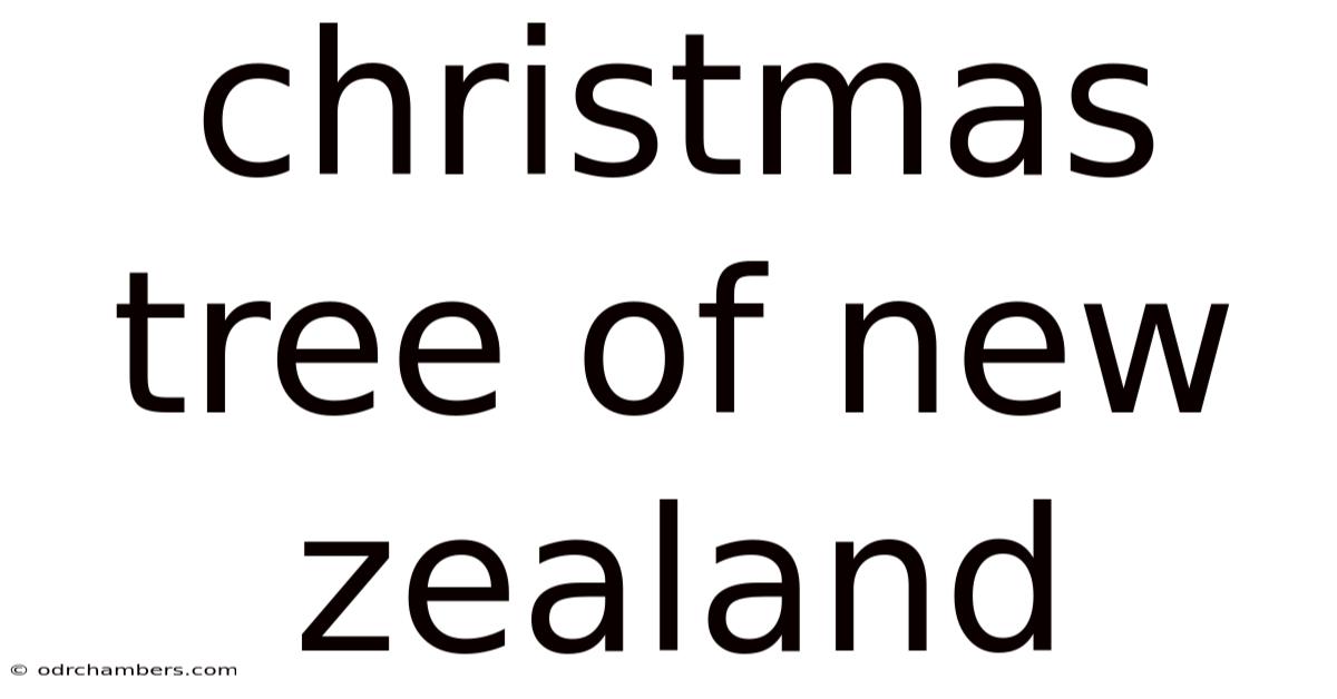 Christmas Tree Of New Zealand