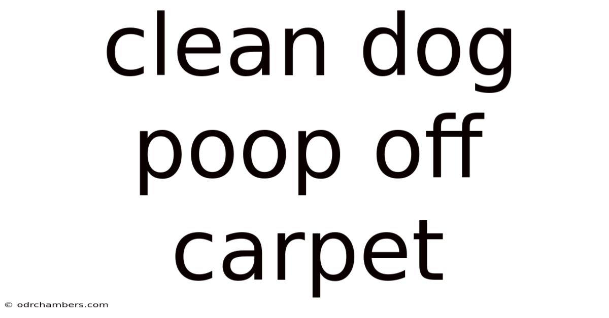 Clean Dog Poop Off Carpet