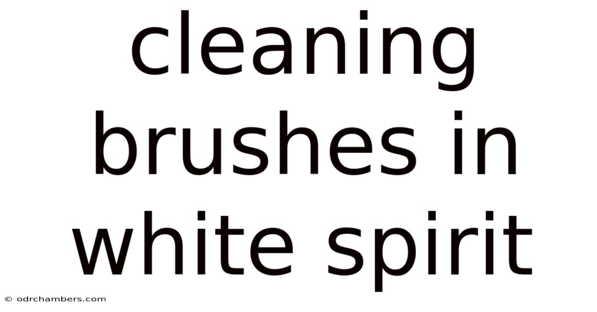 Cleaning Brushes In White Spirit