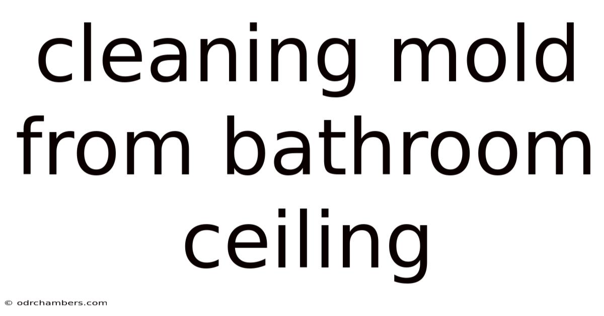 Cleaning Mold From Bathroom Ceiling