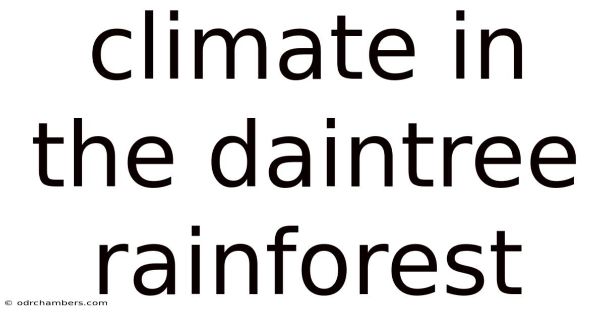 Climate In The Daintree Rainforest