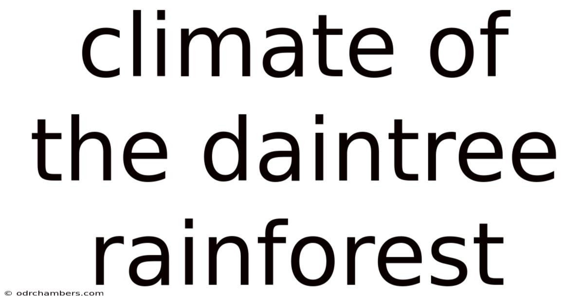 Climate Of The Daintree Rainforest