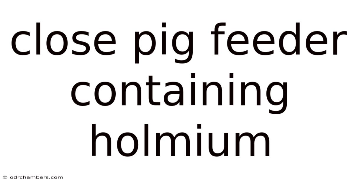 Close Pig Feeder Containing Holmium