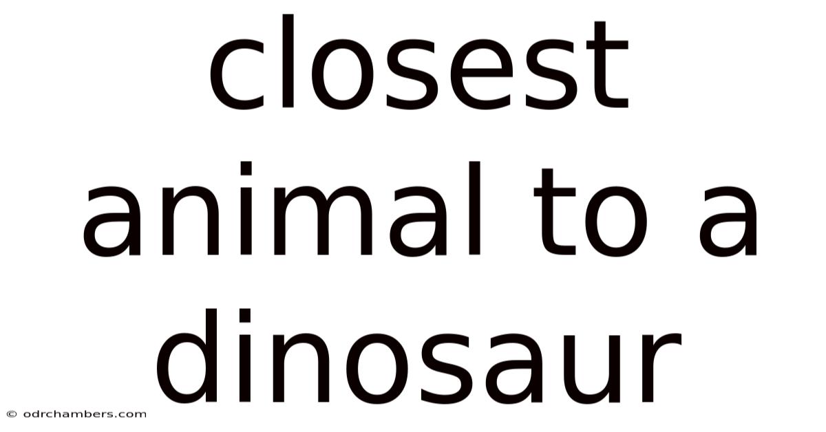 Closest Animal To A Dinosaur