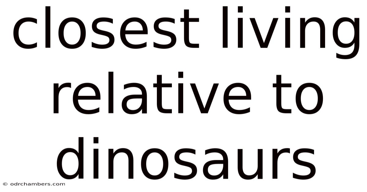 Closest Living Relative To Dinosaurs