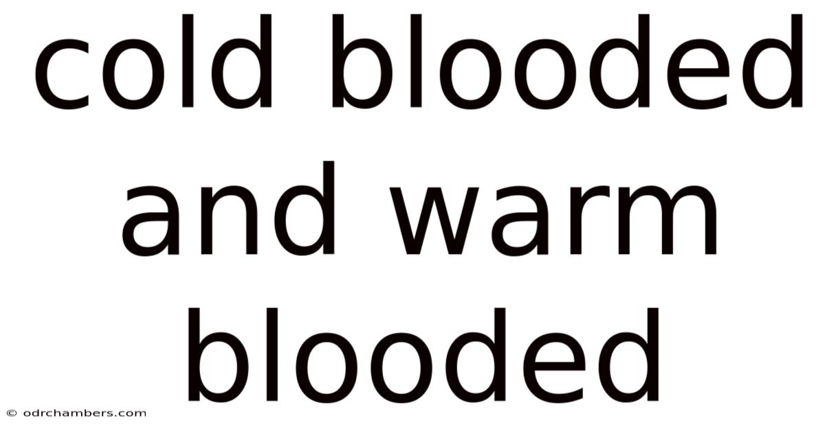 Cold Blooded And Warm Blooded