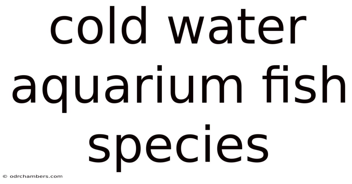 Cold Water Aquarium Fish Species