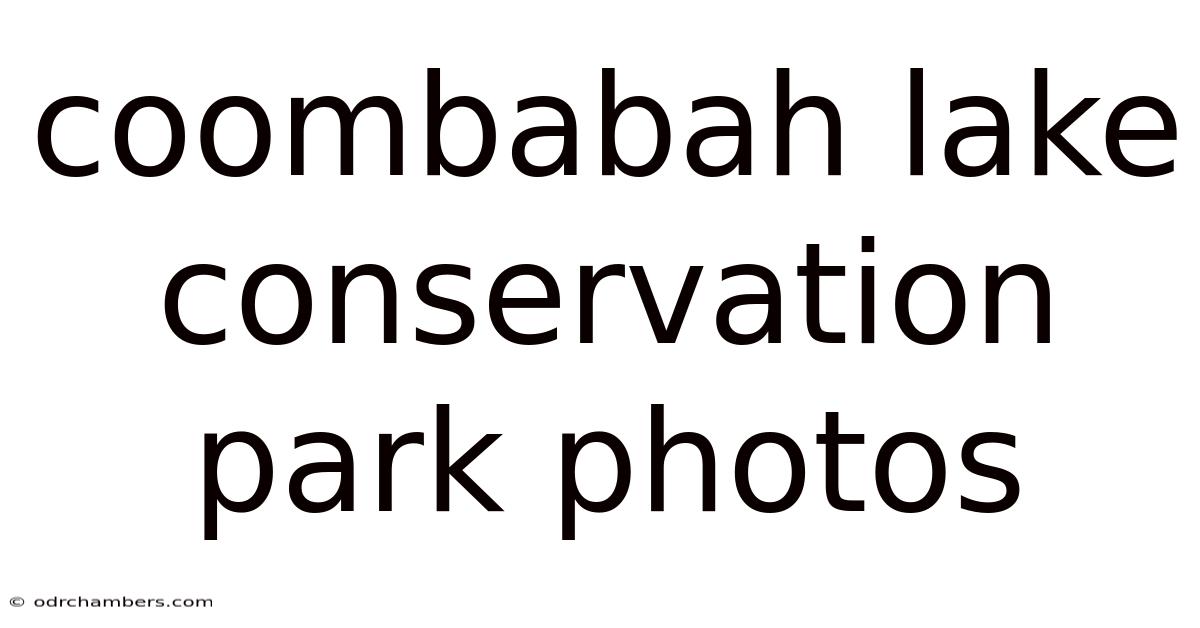 Coombabah Lake Conservation Park Photos