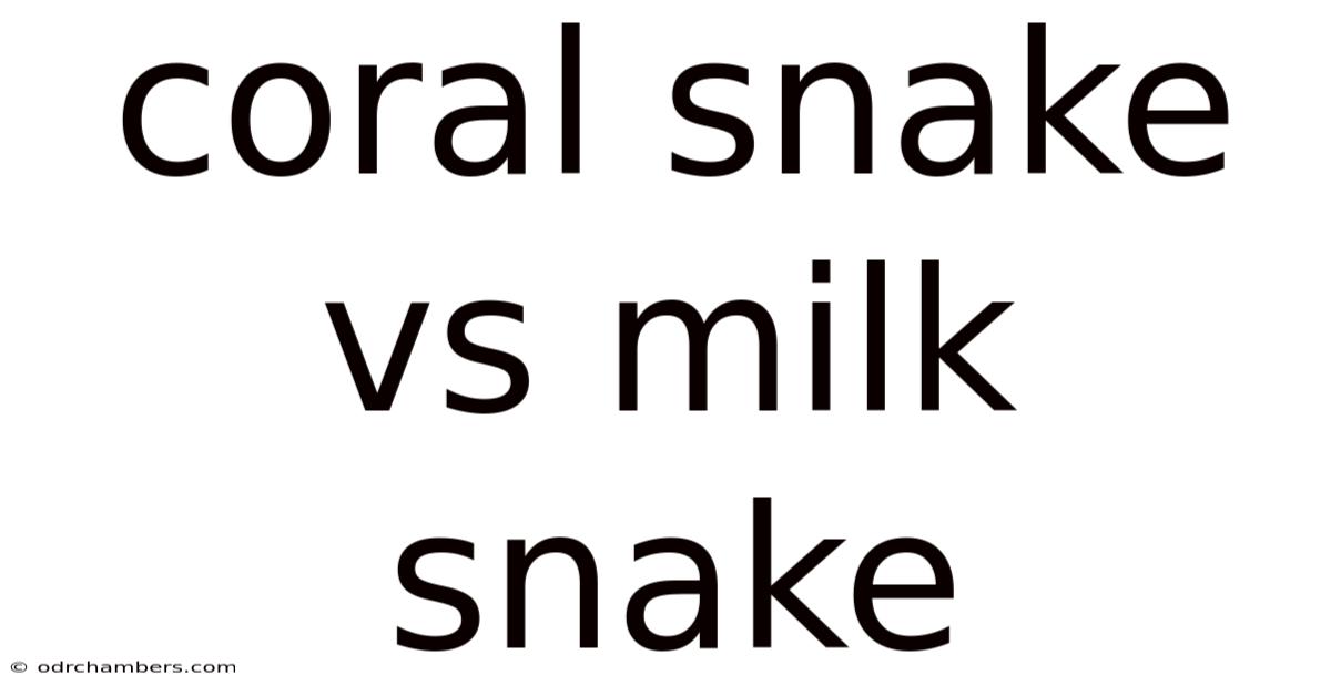 Coral Snake Vs Milk Snake