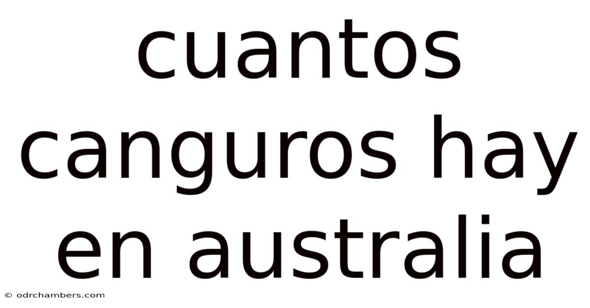 Cuantos Canguros Hay En Australia