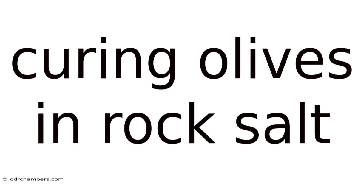 Curing Olives In Rock Salt
