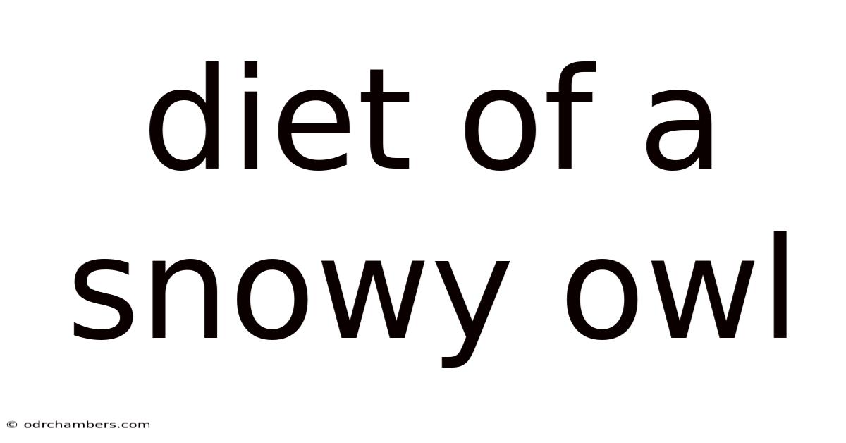 Diet Of A Snowy Owl