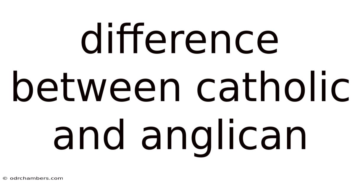 Difference Between Catholic And Anglican