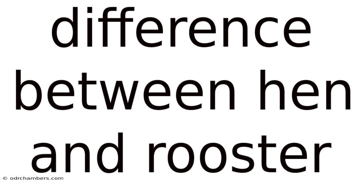 Difference Between Hen And Rooster