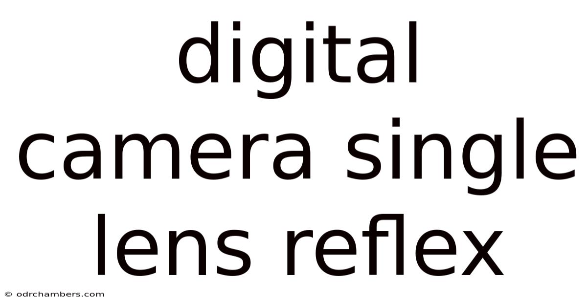 Digital Camera Single Lens Reflex