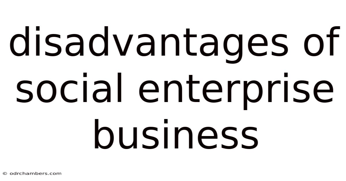 Disadvantages Of Social Enterprise Business