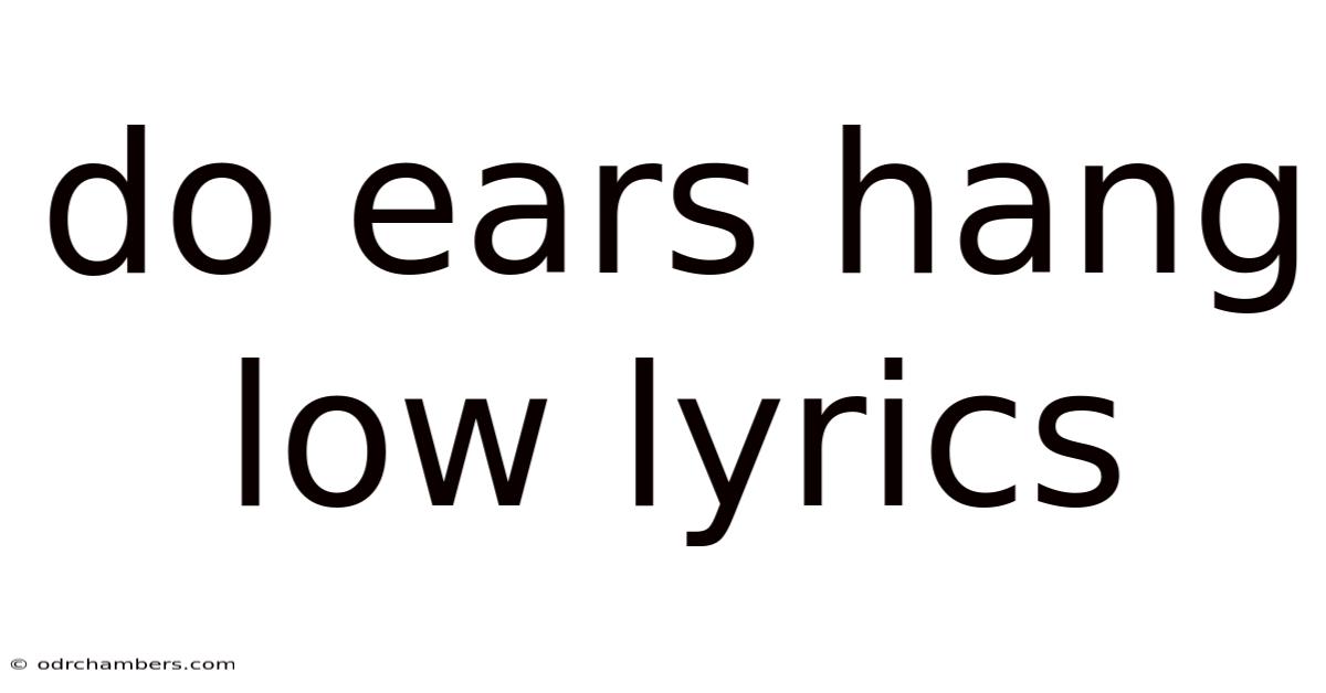 Do Ears Hang Low Lyrics