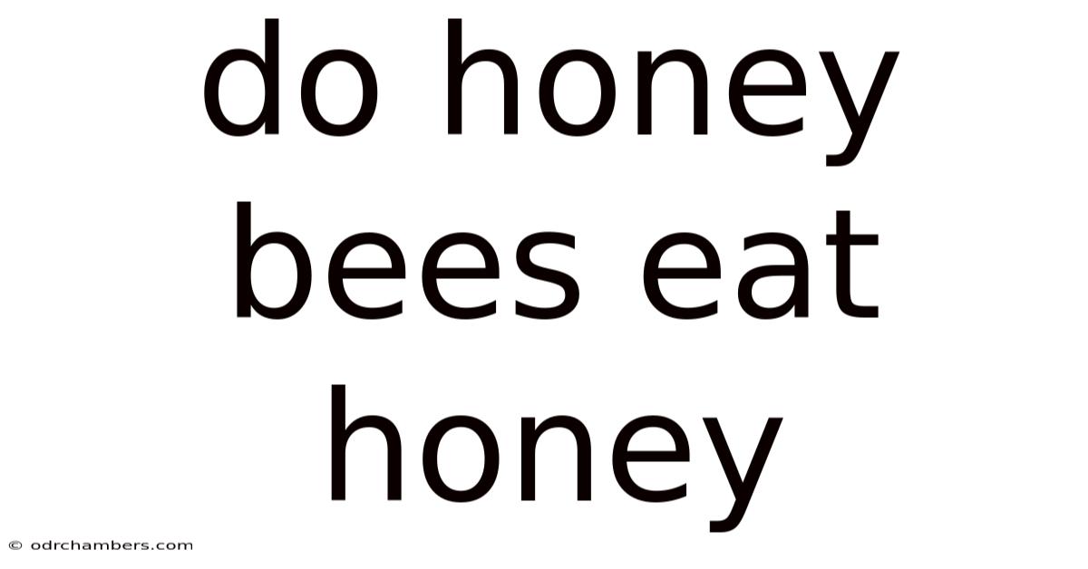 Do Honey Bees Eat Honey