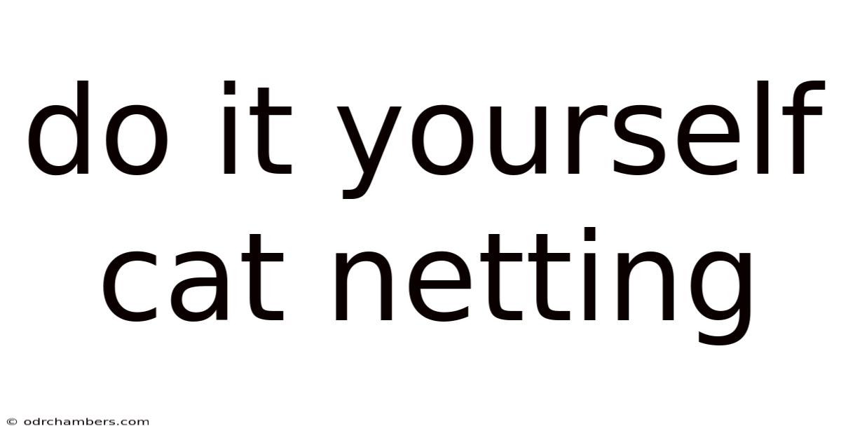 Do It Yourself Cat Netting