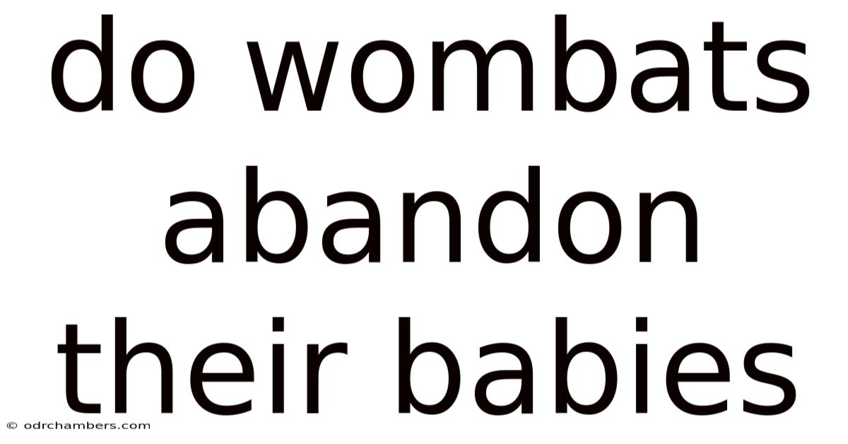 Do Wombats Abandon Their Babies