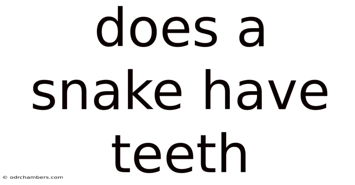 Does A Snake Have Teeth