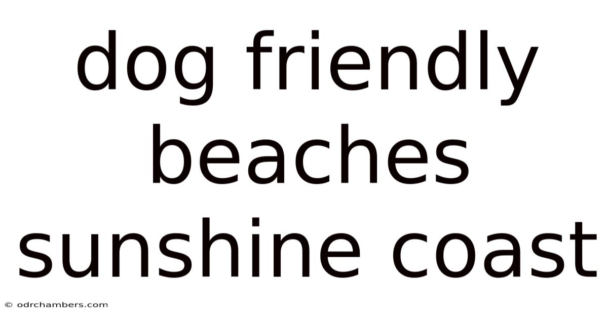Dog Friendly Beaches Sunshine Coast