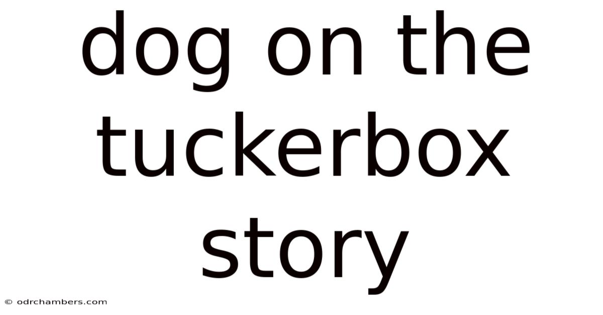 Dog On The Tuckerbox Story