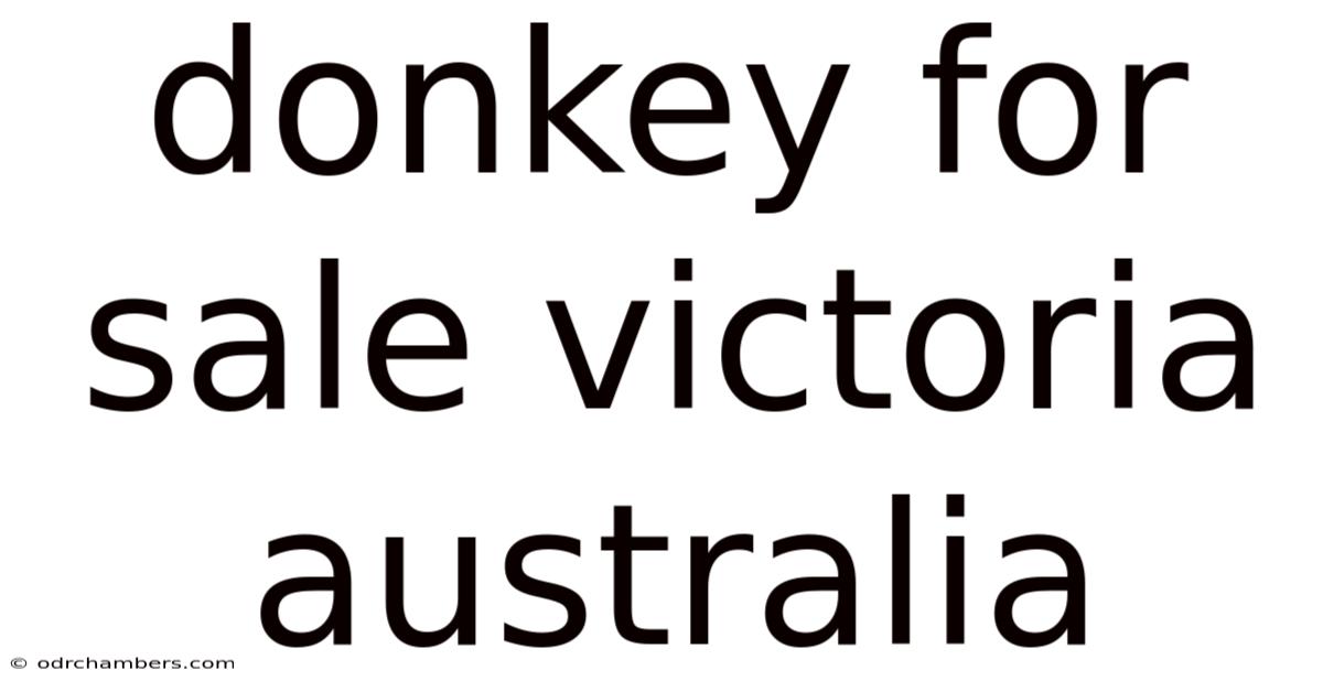 Donkey For Sale Victoria Australia
