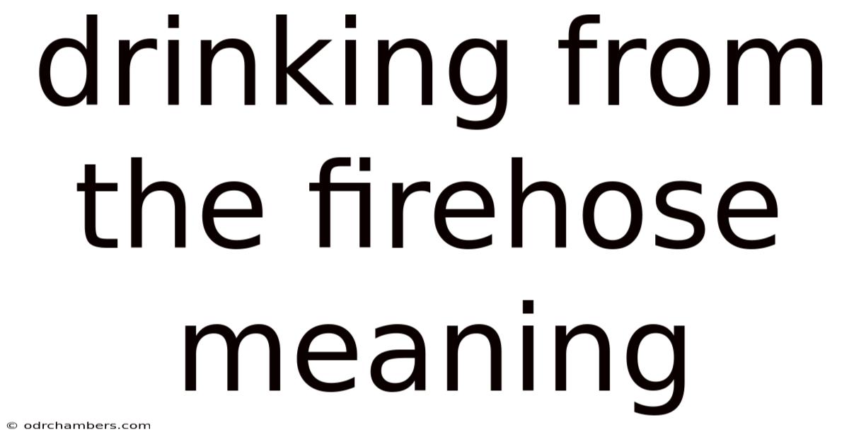 Drinking From The Firehose Meaning