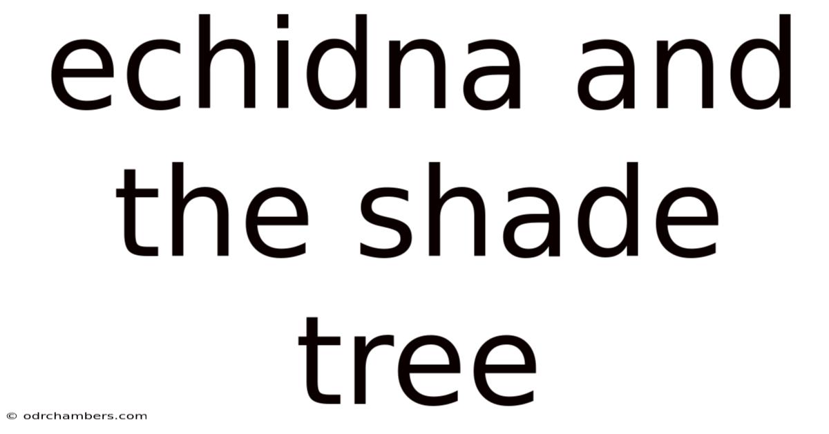 Echidna And The Shade Tree