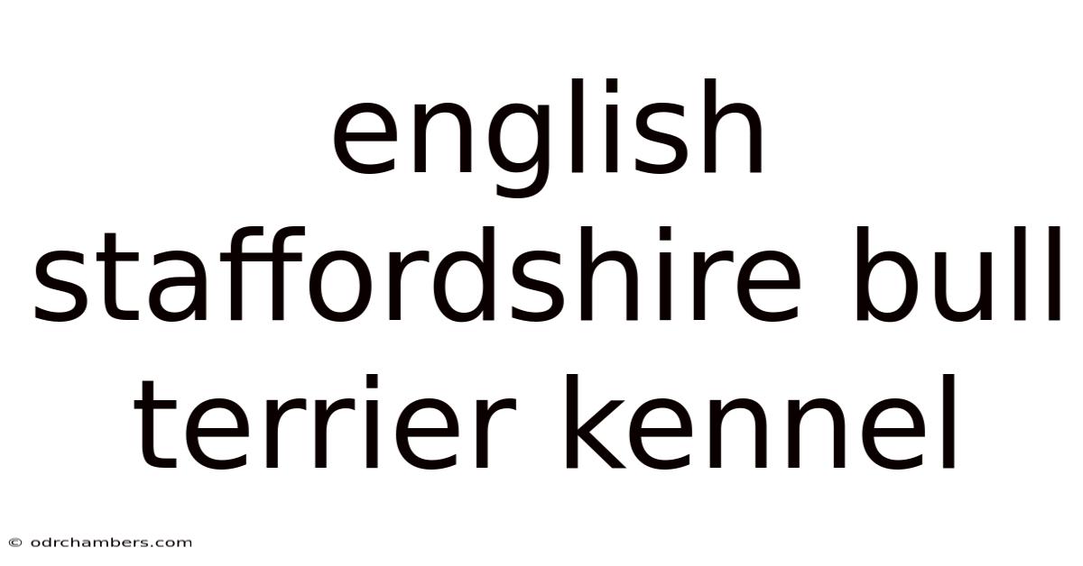 English Staffordshire Bull Terrier Kennel