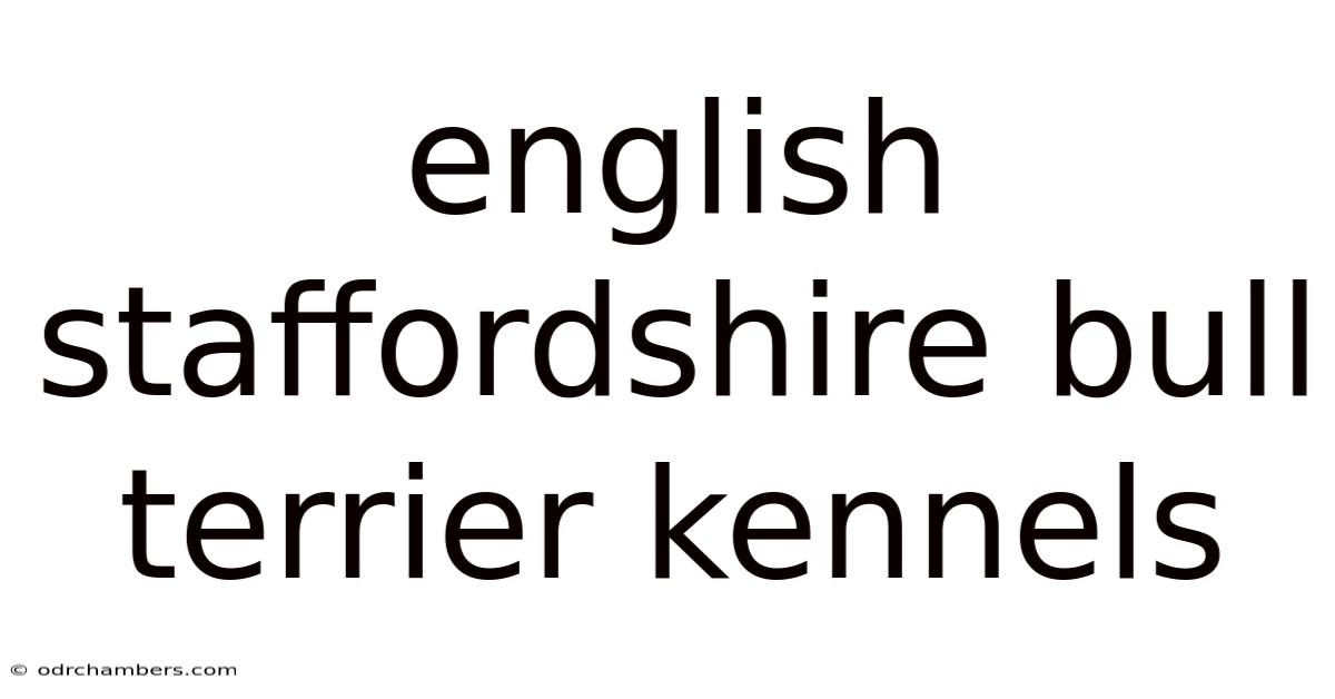 English Staffordshire Bull Terrier Kennels