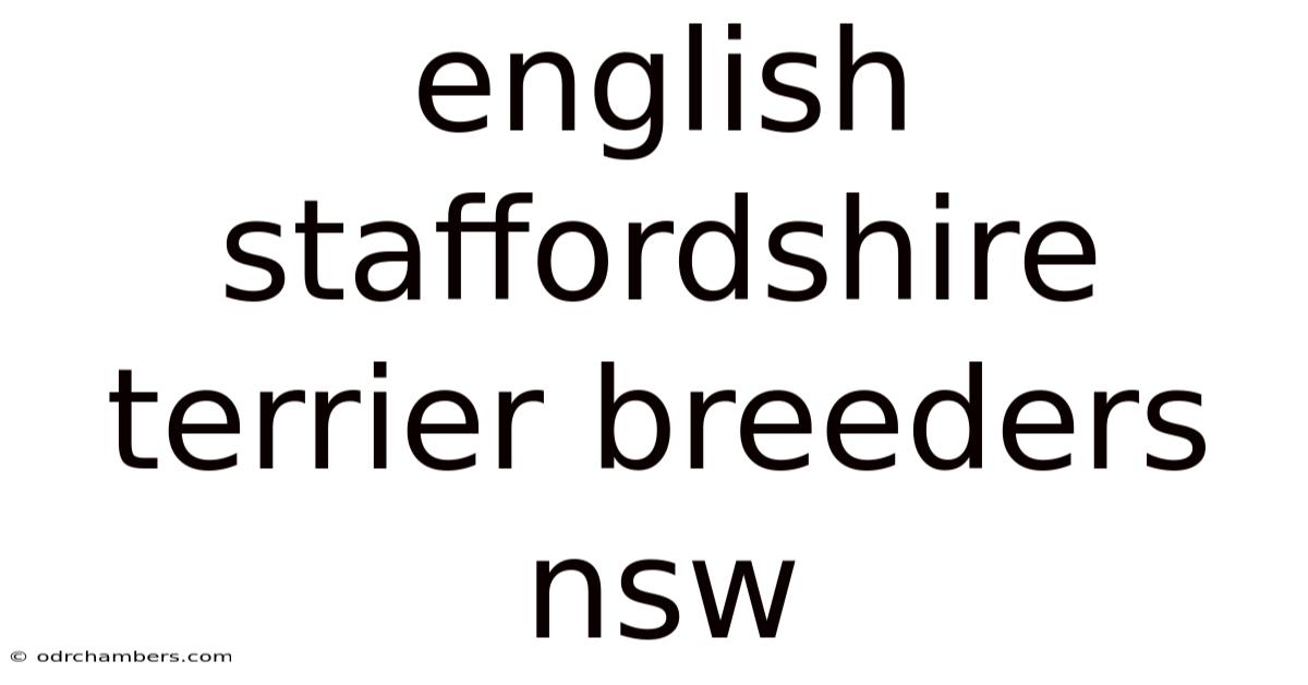 English Staffordshire Terrier Breeders Nsw