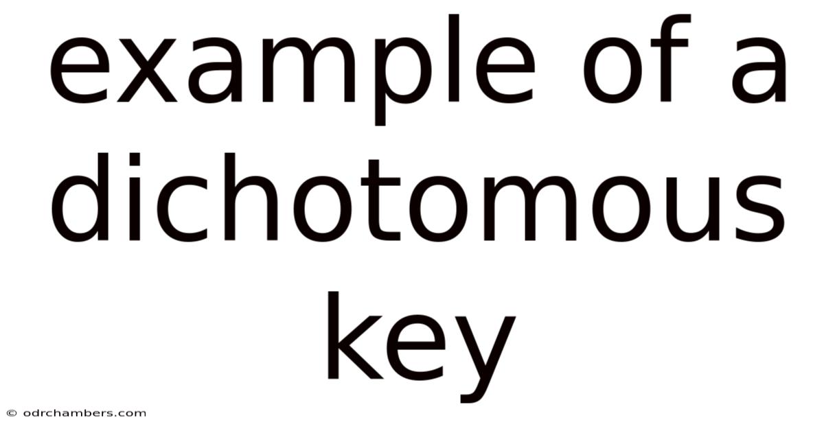 Example Of A Dichotomous Key