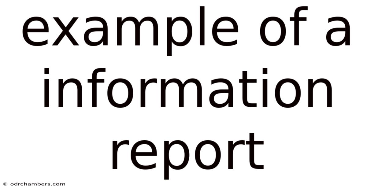 Example Of A Information Report