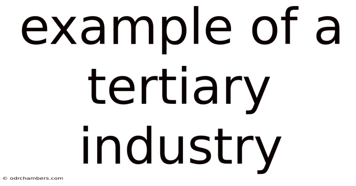Example Of A Tertiary Industry