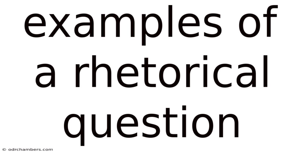 Examples Of A Rhetorical Question