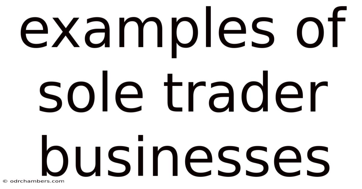 Examples Of Sole Trader Businesses