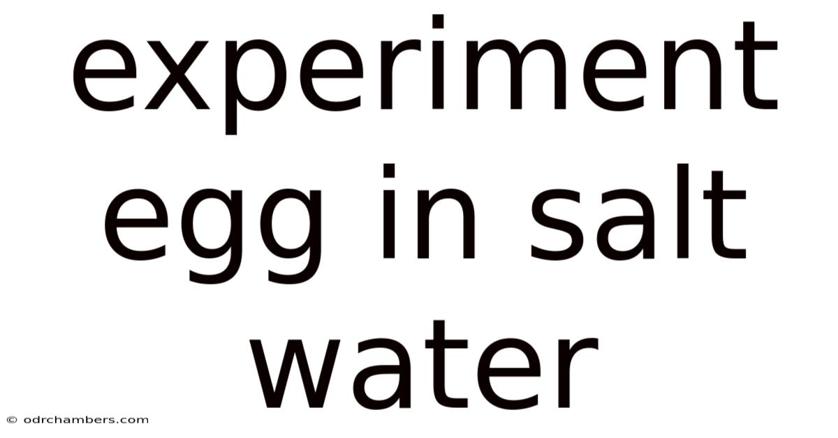 Experiment Egg In Salt Water