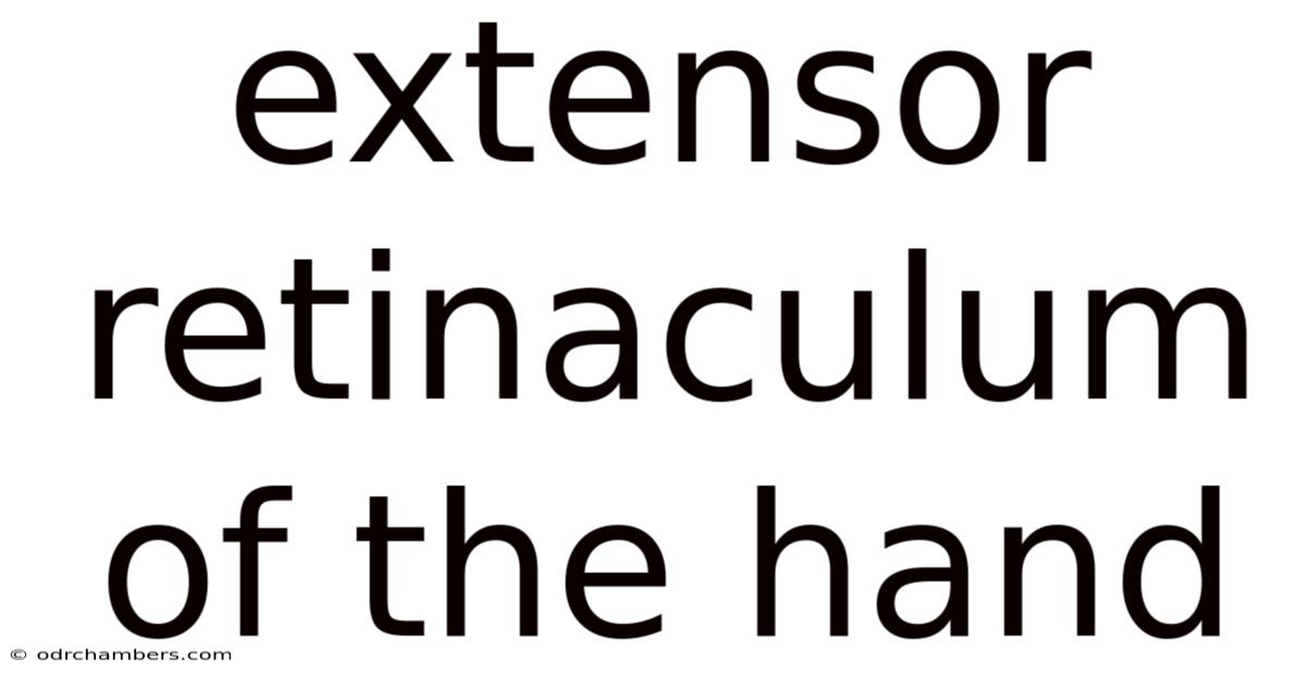 Extensor Retinaculum Of The Hand