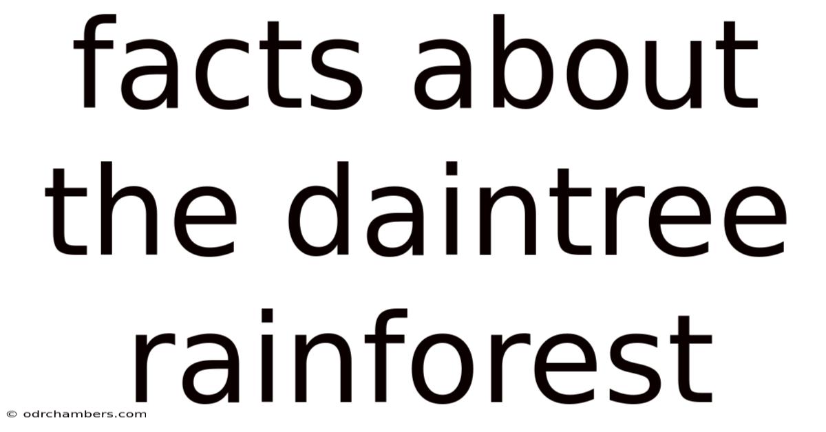 Facts About The Daintree Rainforest