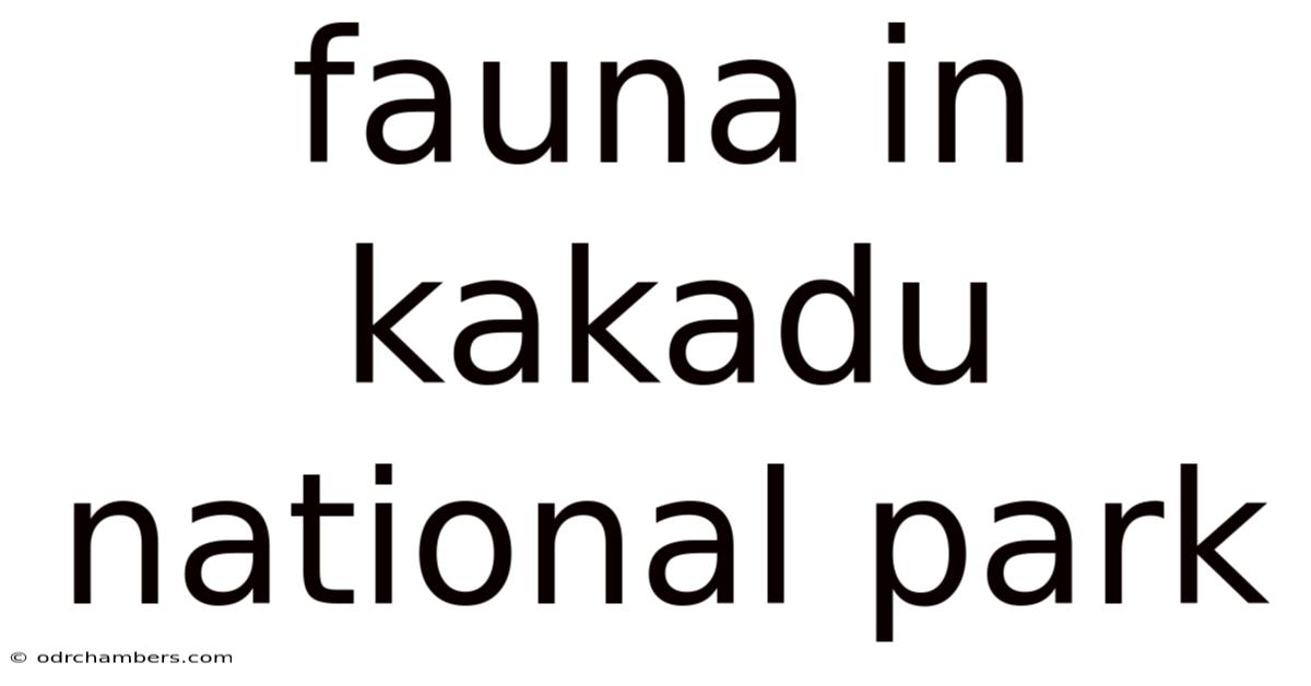 Fauna In Kakadu National Park