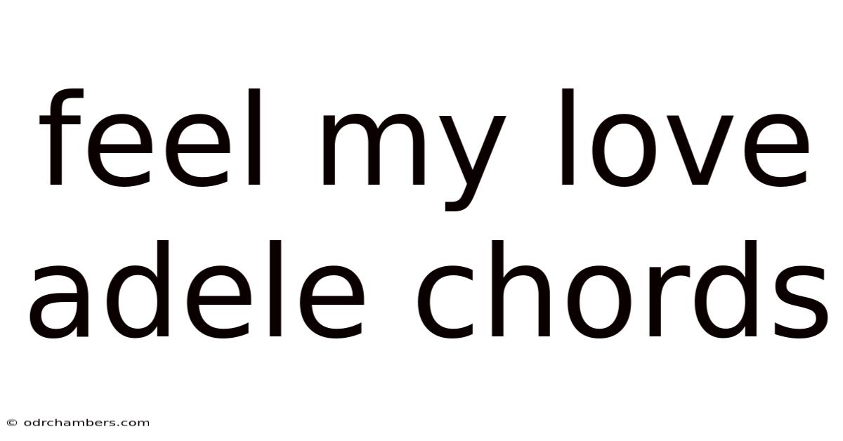 Feel My Love Adele Chords